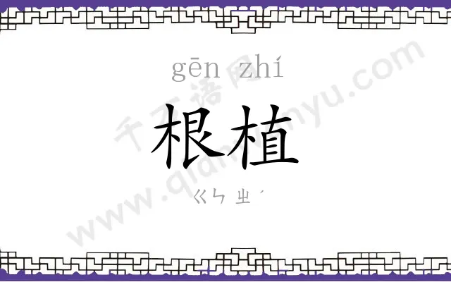根植