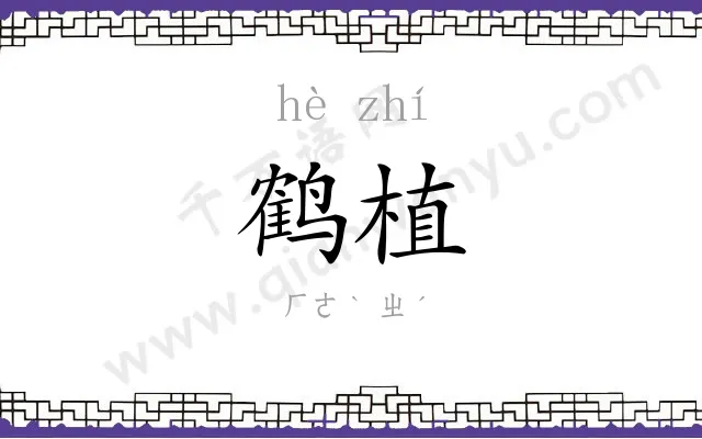 鹤植