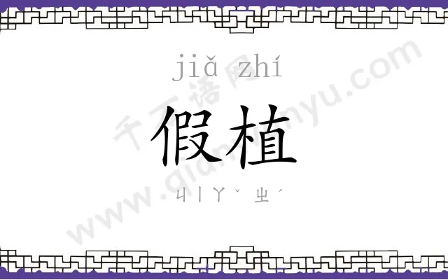 假植