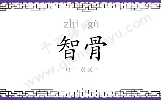 智骨