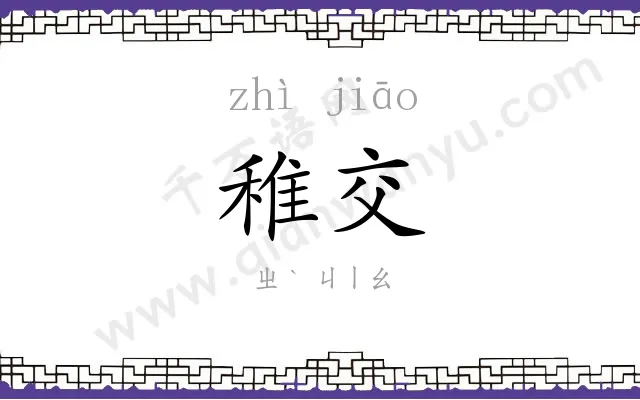 稚交