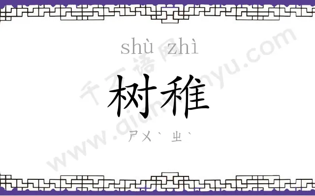 树稚