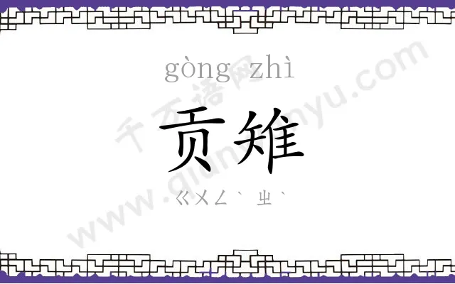 贡雉