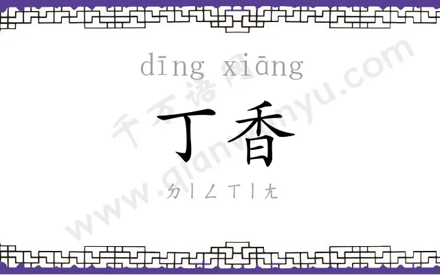 丁香