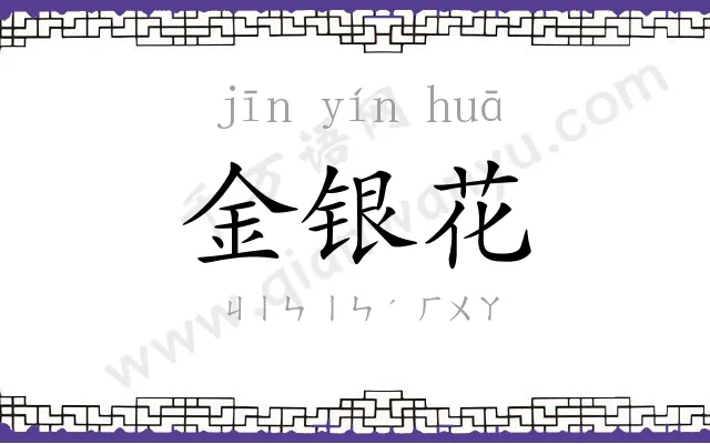 金银花