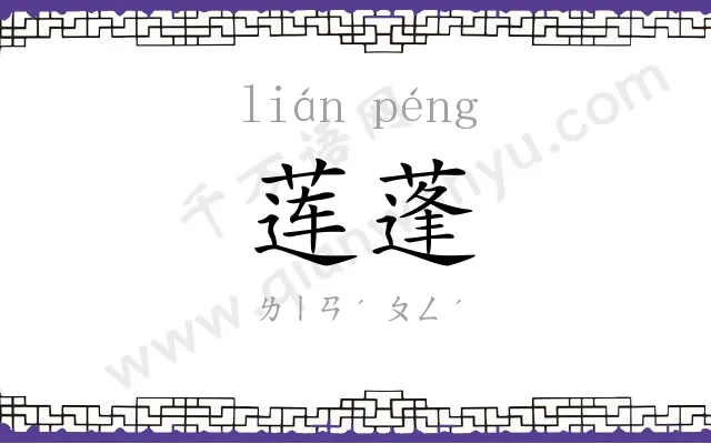 莲蓬