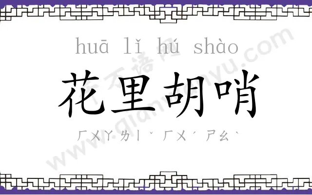 花里胡哨