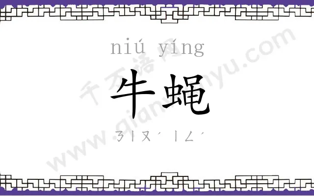牛蝇