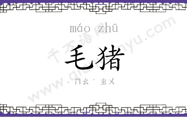 毛猪