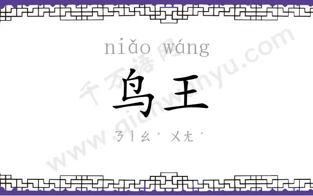 鸟王