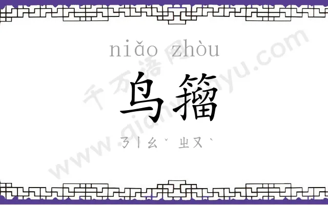 鸟籀