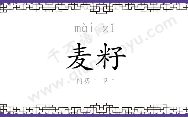 麦籽