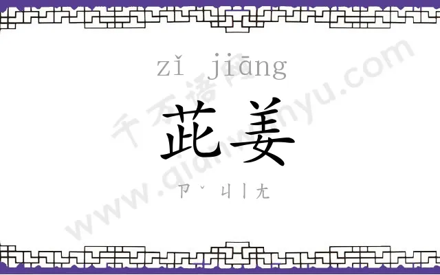 茈姜