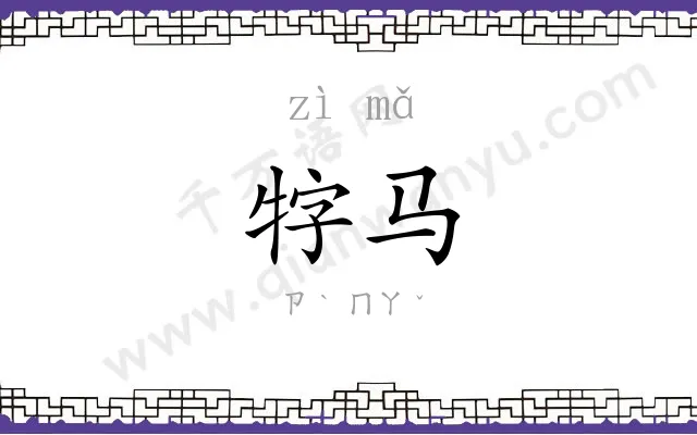 牸马