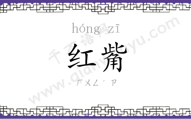 红觜