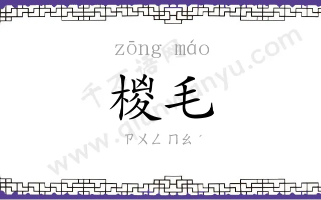 椶毛