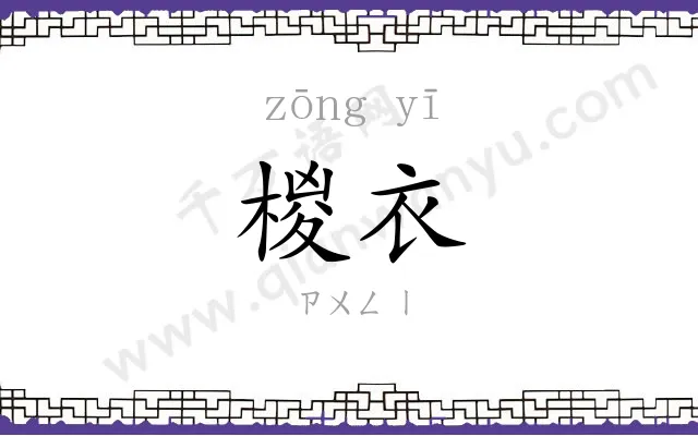 椶衣