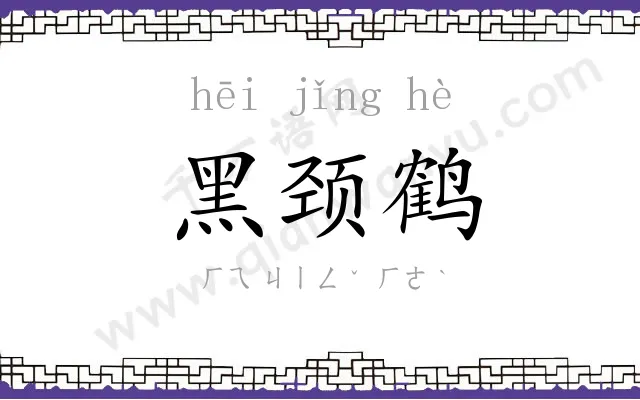 黑颈鹤