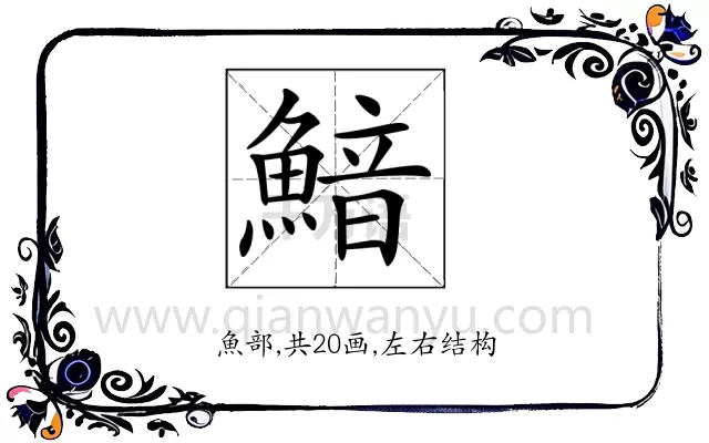 𩹎