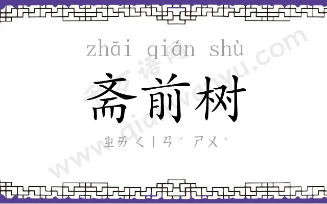 斋前树