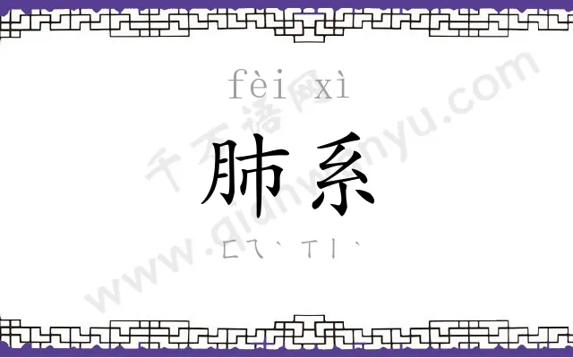 肺系