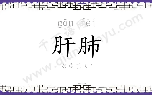 肝肺