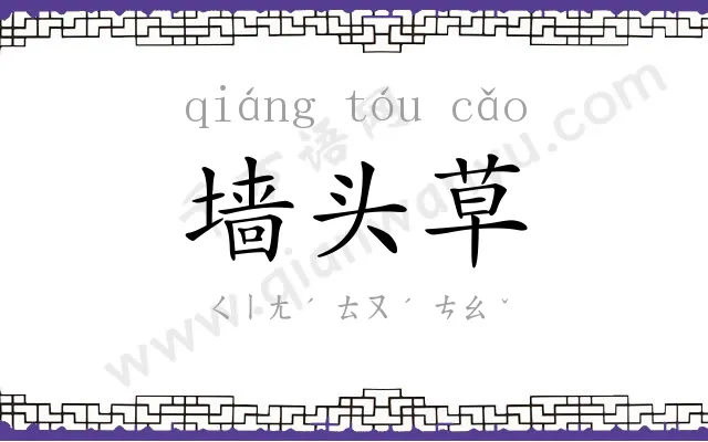 墙头草