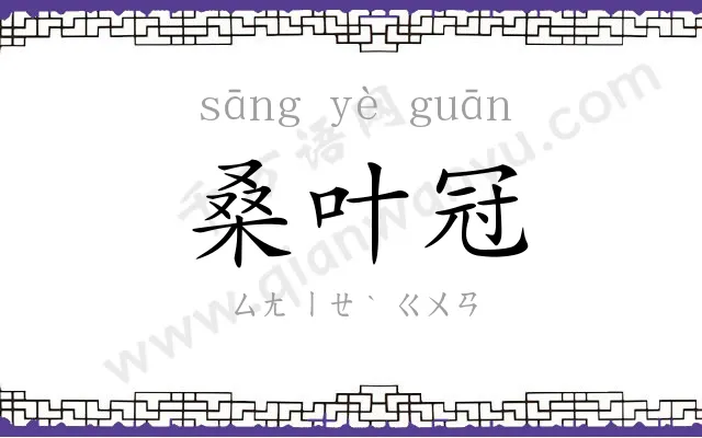桑叶冠