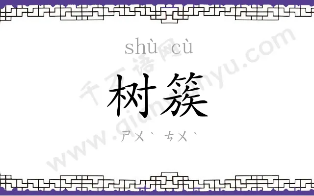 树簇