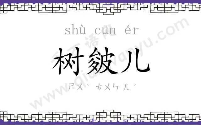 树皴儿