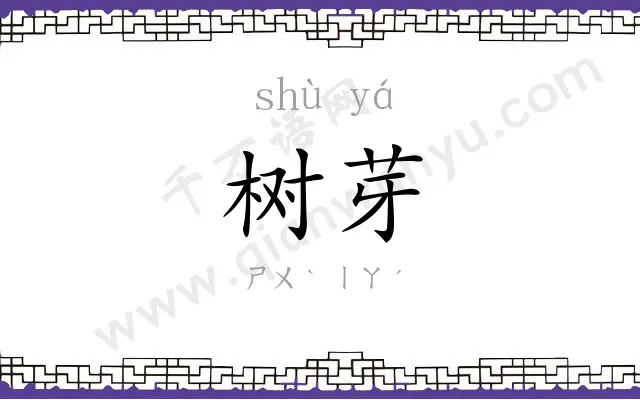 树芽