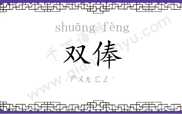 双俸