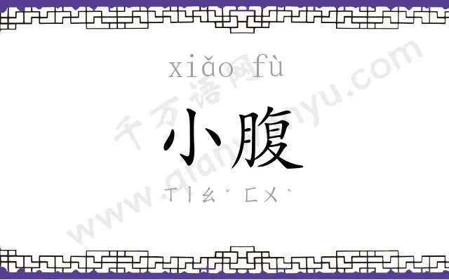 小腹