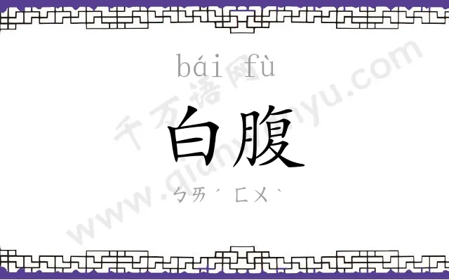白腹