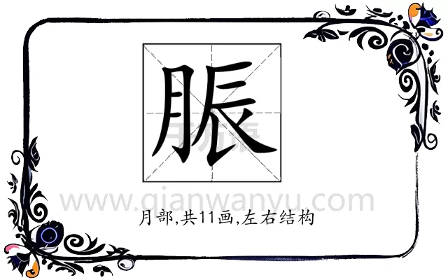脤