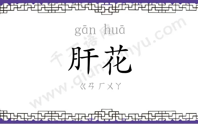 肝花