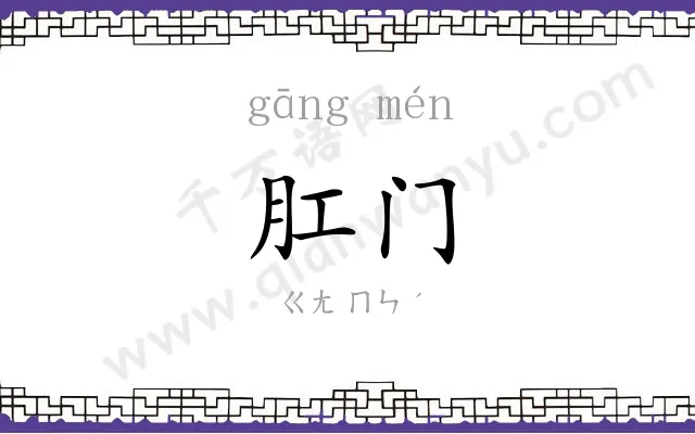 肛门