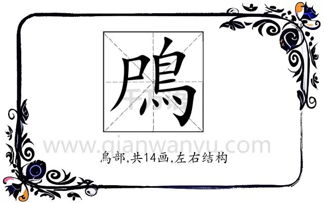 鳲
