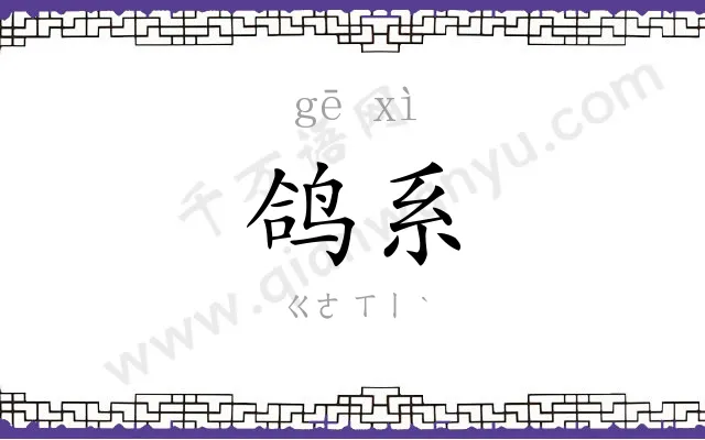 鸽系