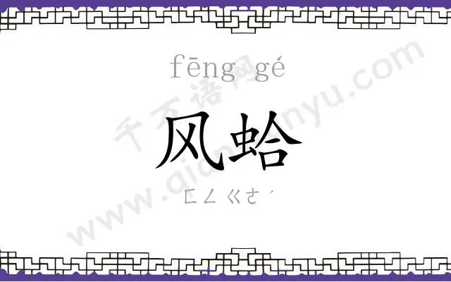 风蛤