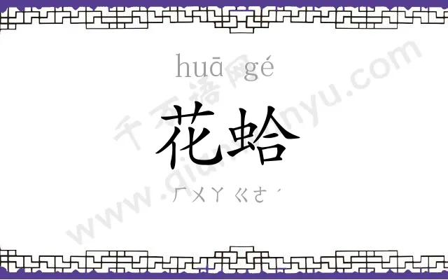 花蛤