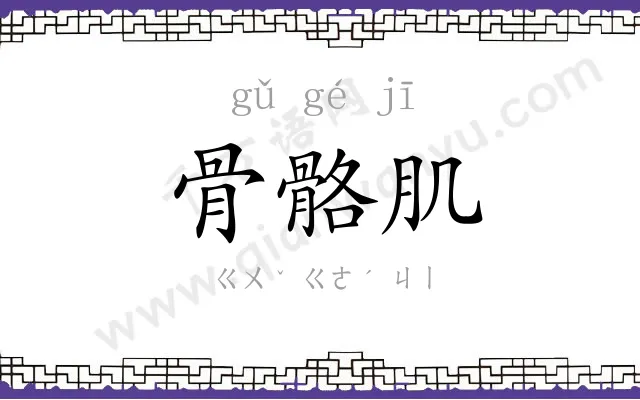 骨骼肌