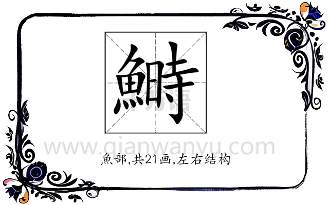 鰣