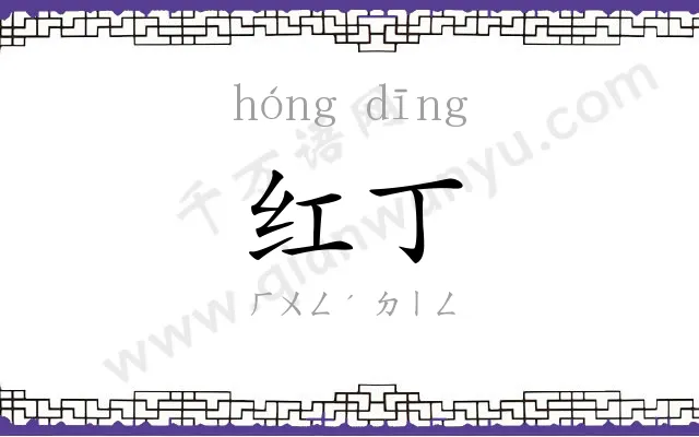 红丁
