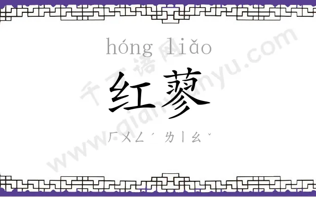 红蓼