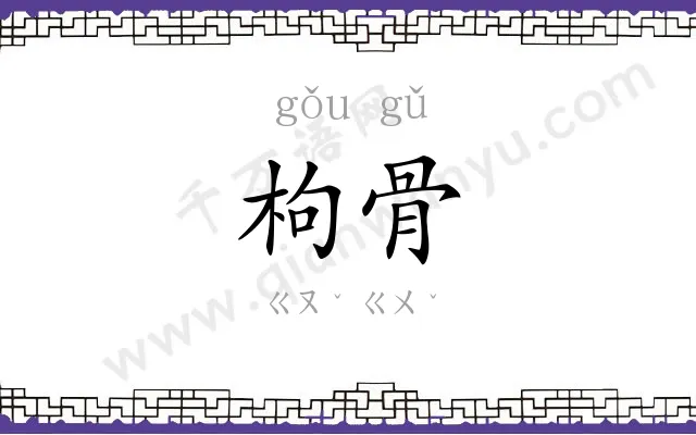枸骨