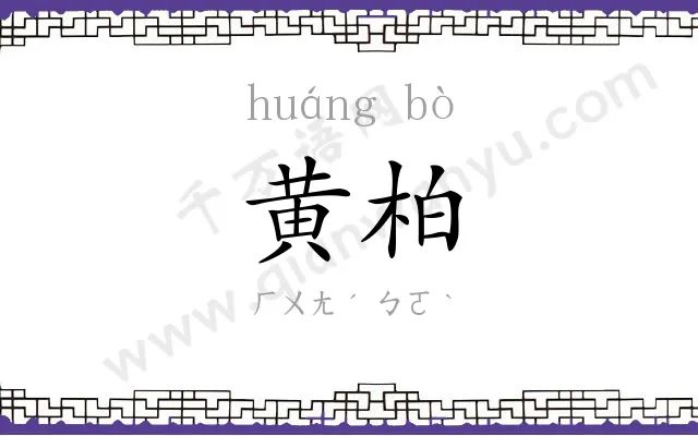 黄柏