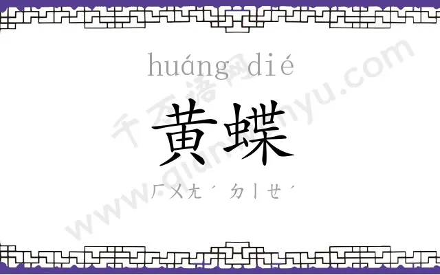 黄蝶