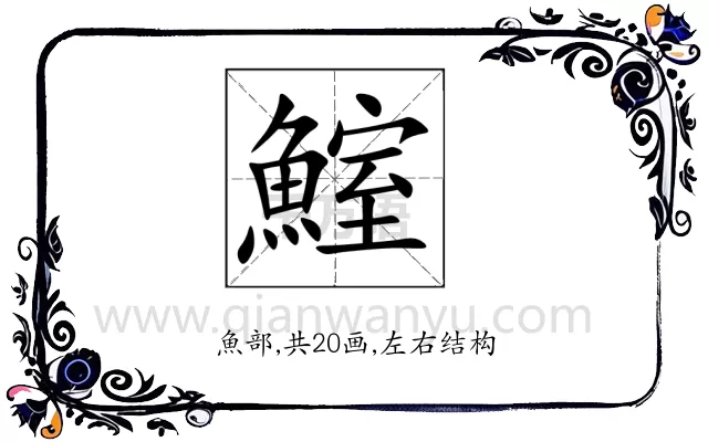 鰘