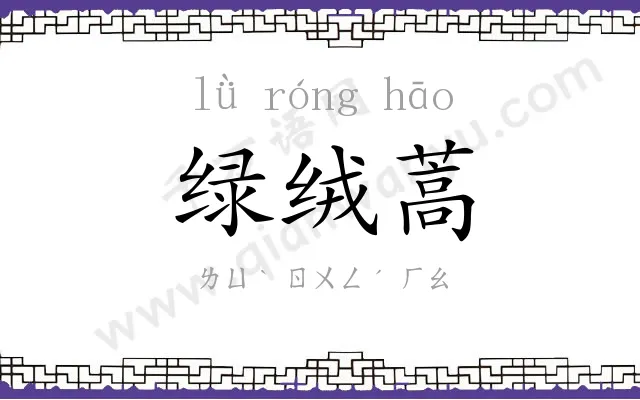 绿绒蒿